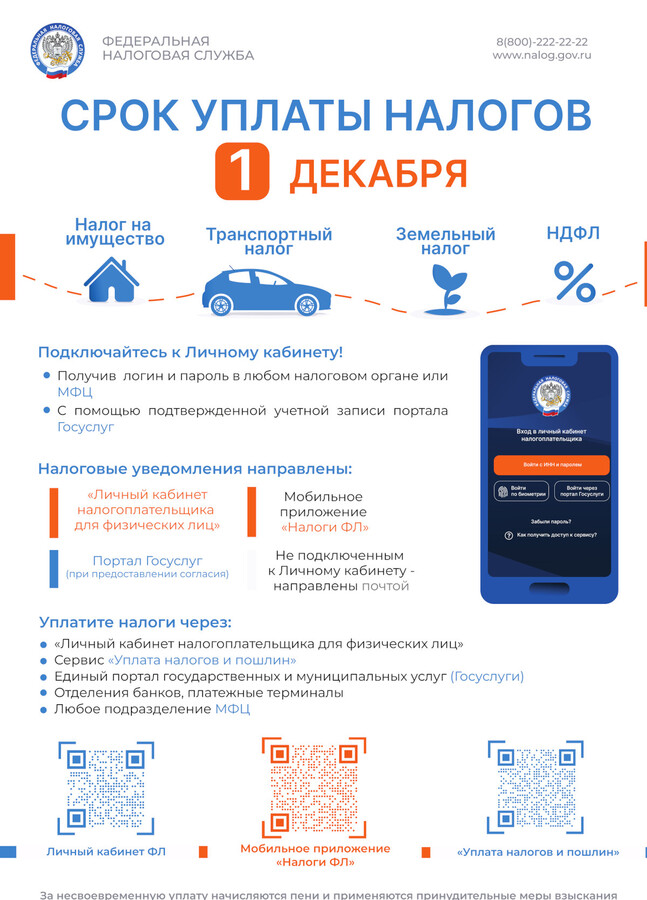 До 1 декабря срок уплаты имущественных налогов